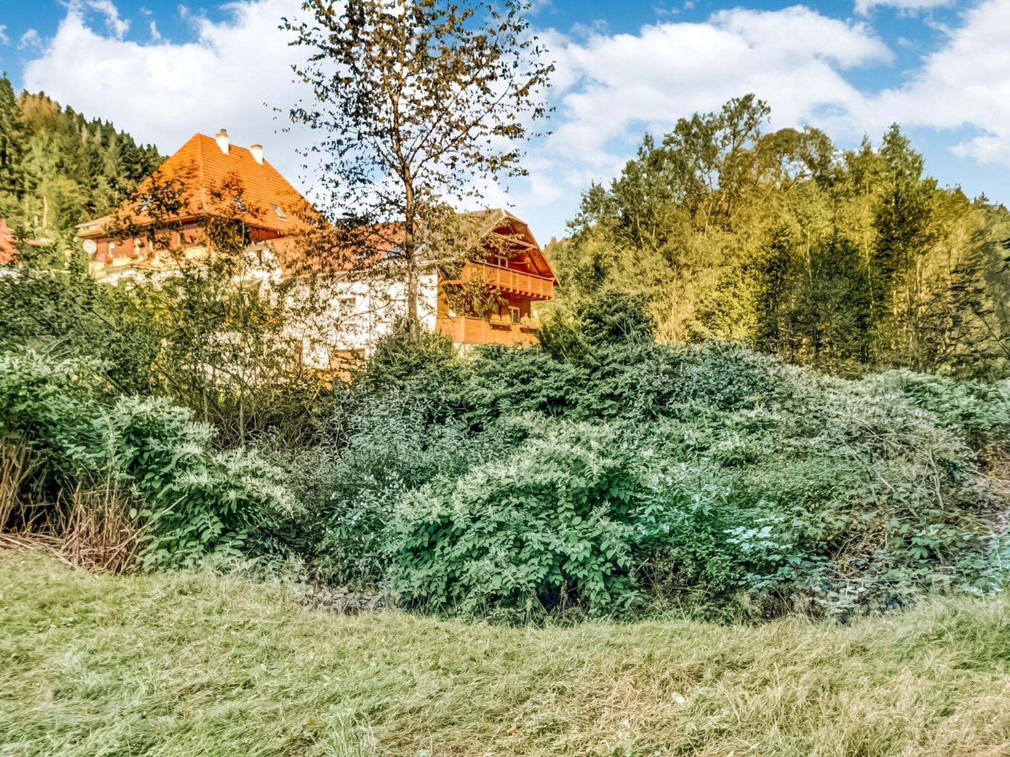 Apartment Thuringian Forest With Balcony Giessubel Екстер'єр фото