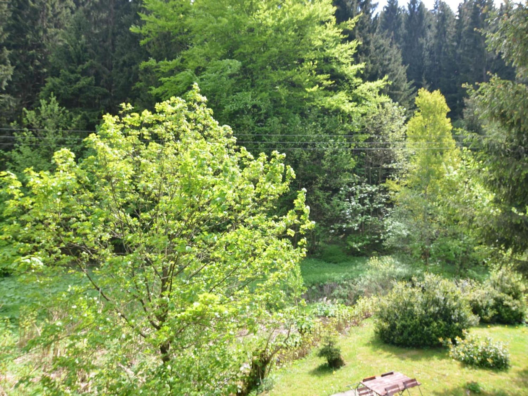 Apartment Thuringian Forest With Balcony Giessubel Екстер'єр фото